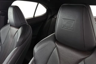 Lexus UX 250h AWD F Sport Premium / 41