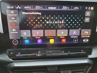 Cupra Leon 1.5 eTSI Business Intense AUT.* Navigatiesysteem * Elektrische stoelen met memory * Parkeercamera * / 41